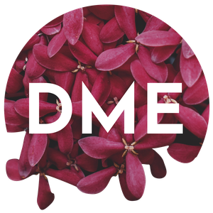 Projecto DME - Dias de Música Electroacústica